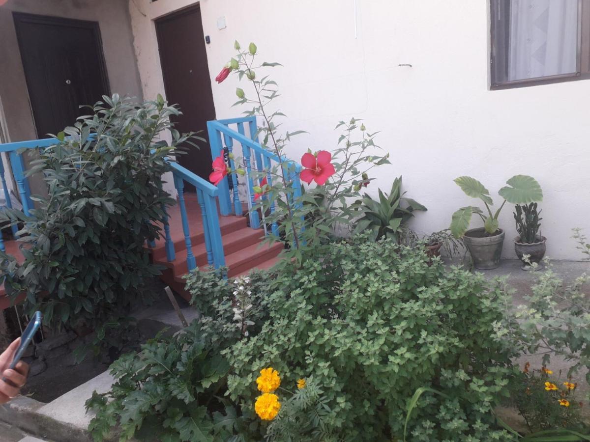 Guesthouse Zeinabi ティビリシ エクステリア 写真